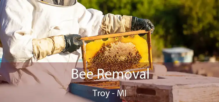 Bee Removal Troy - MI