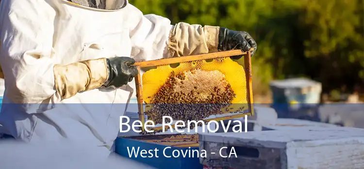  Bee Removal West Covina - CA