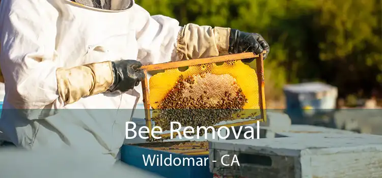  Bee Removal Wildomar - CA