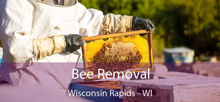  Bee Removal Wisconsin Rapids - WI