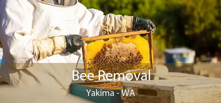  Bee Removal Yakima - WA
