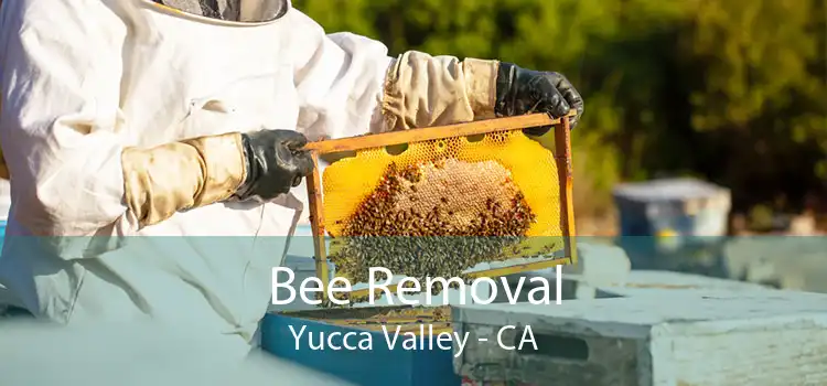 Bee Removal Yucca Valley - CA