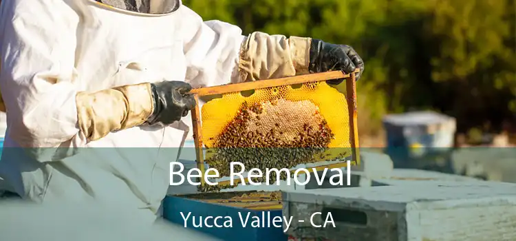  Bee Removal Yucca Valley - CA