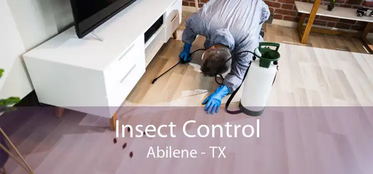 Insect Control Abilene - TX