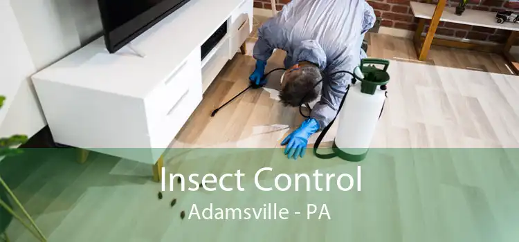 Insect Control Adamsville - PA