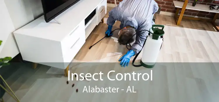 Insect Control Alabaster - AL