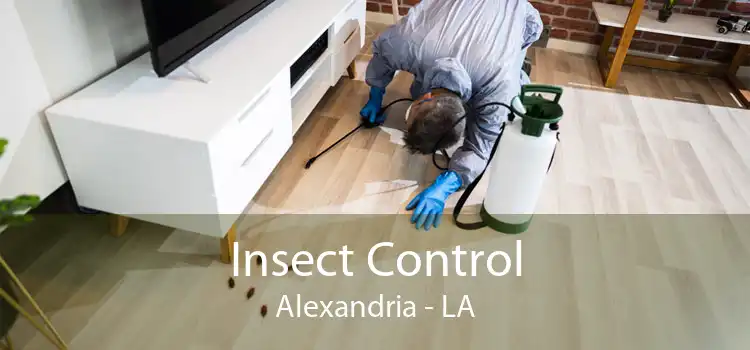 Insect Control Alexandria - LA
