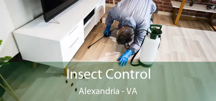 Insect Control Alexandria - VA