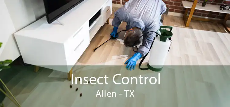 Insect Control Allen - TX