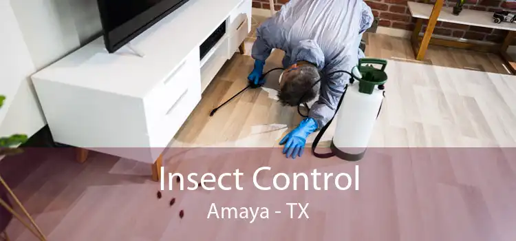 Insect Control Amaya - TX