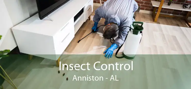 Insect Control Anniston - AL