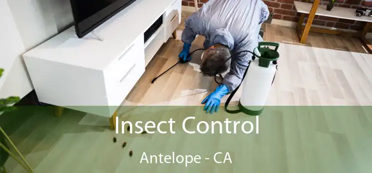  Insect Control Antelope - CA