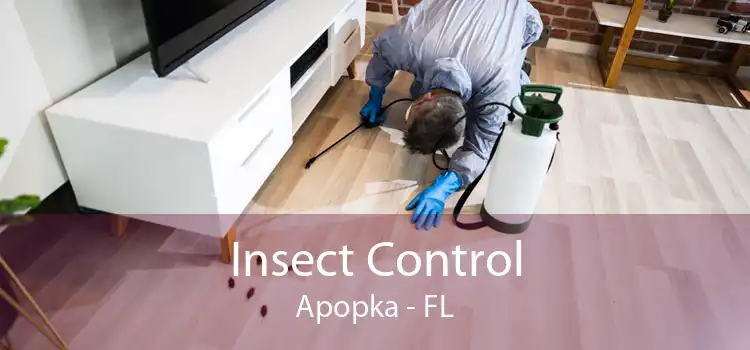Insect Control Apopka - FL