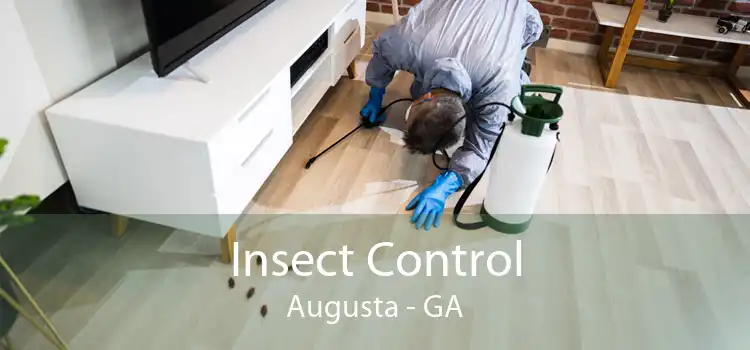 Insect Control Augusta - GA
