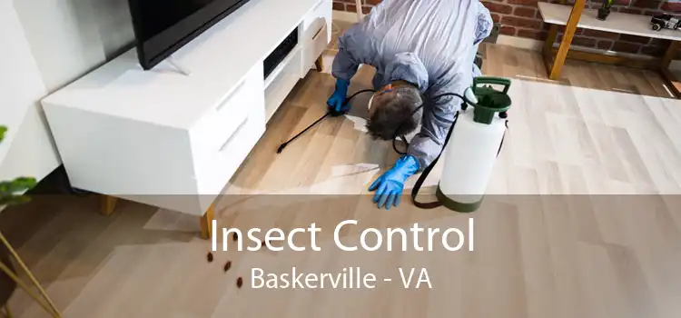 Insect Control Baskerville - VA