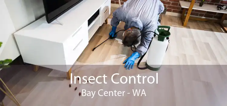 Insect Control Bay Center - WA