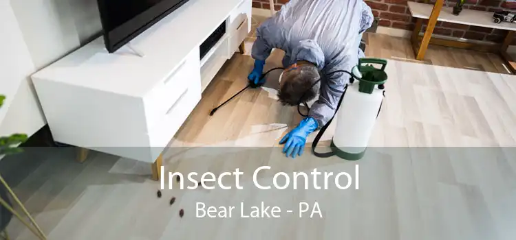 Insect Control Bear Lake - PA