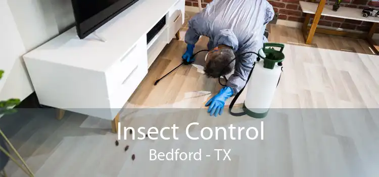 Insect Control Bedford - TX