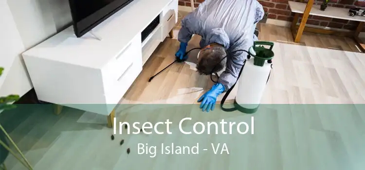 Insect Control Big Island - VA