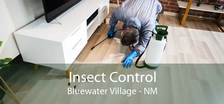Insect Control Bluewater Village - NM