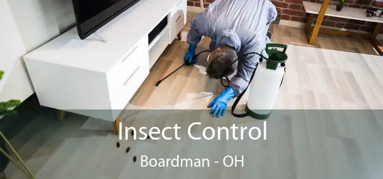  Insect Control Boardman - OH