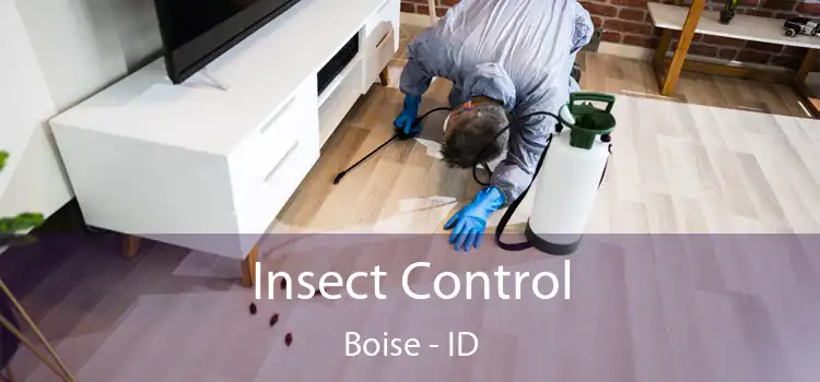 Insect Control Boise - ID