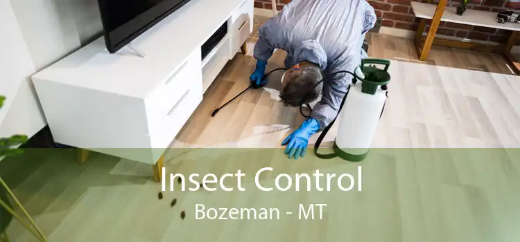 Insect Control Bozeman - MT
