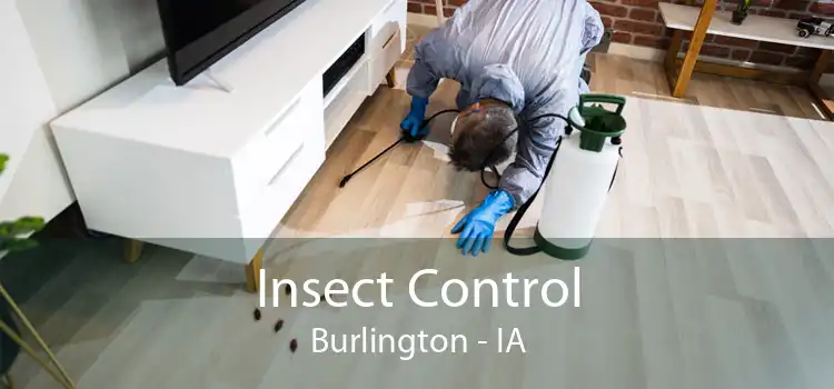 Insect Control Burlington - IA