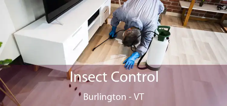 Insect Control Burlington - VT