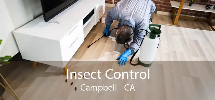 Insect Control Campbell - CA