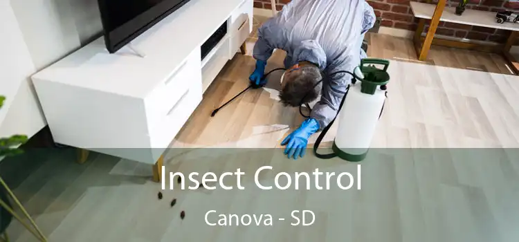 Insect Control Canova - SD