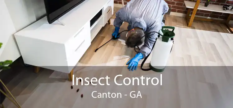 Insect Control Canton - GA
