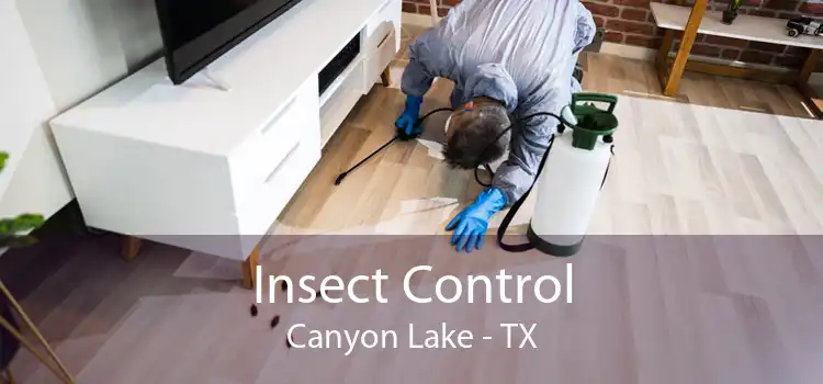 Insect Control Canyon Lake - TX
