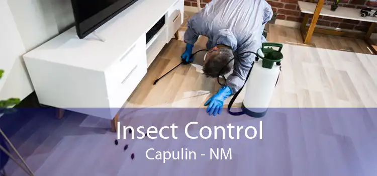 Insect Control Capulin - NM
