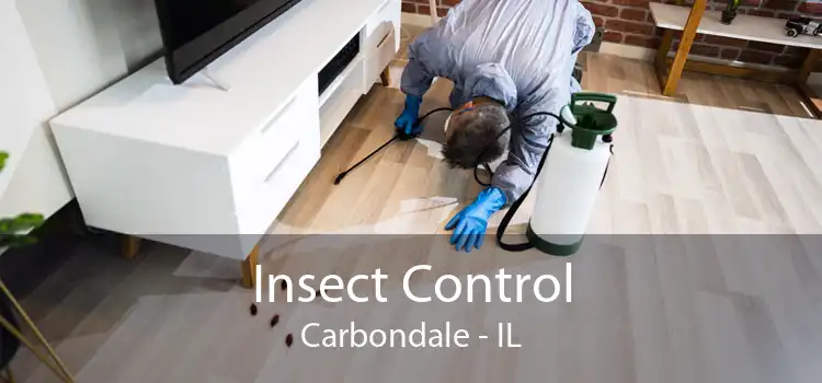 Insect Control Carbondale - IL