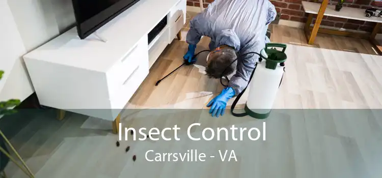 Insect Control Carrsville - VA