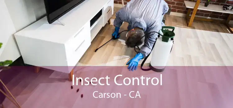 Insect Control Carson - CA