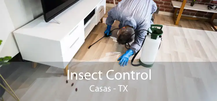 Insect Control Casas - TX