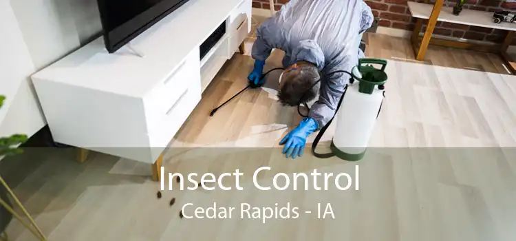 Insect Control Cedar Rapids - IA