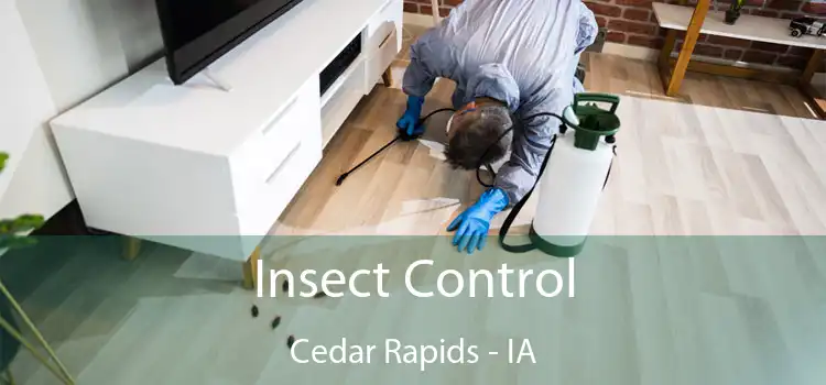  Insect Control Cedar Rapids - IA