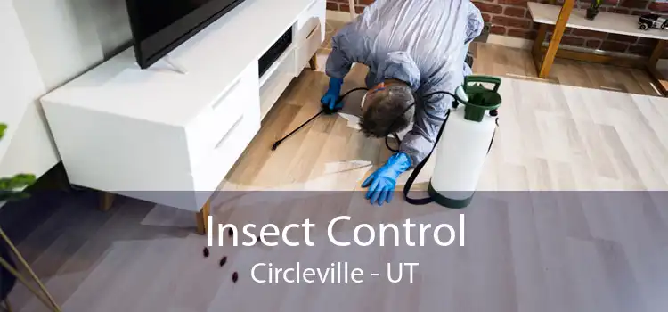 Insect Control Circleville - UT