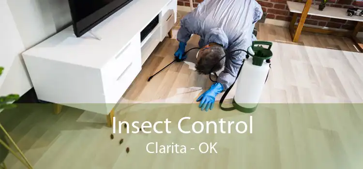 Insect Control Clarita - OK