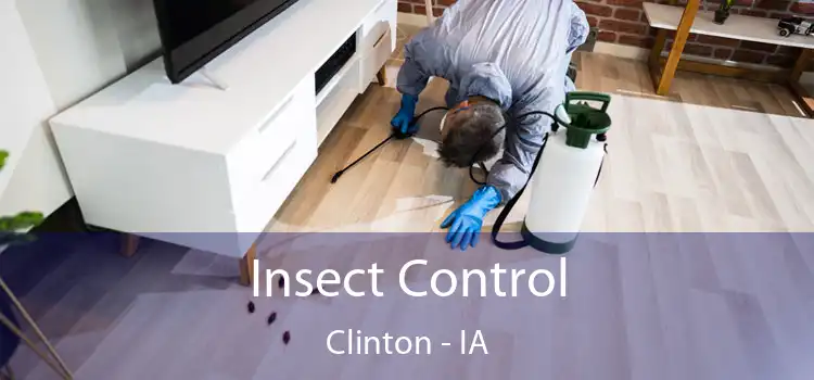  Insect Control Clinton - IA