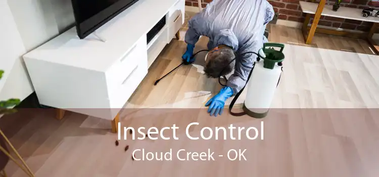 Insect Control Cloud Creek - OK