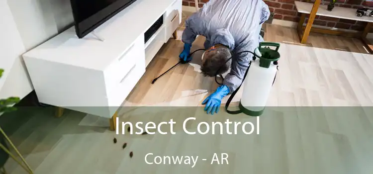  Insect Control Conway - AR
