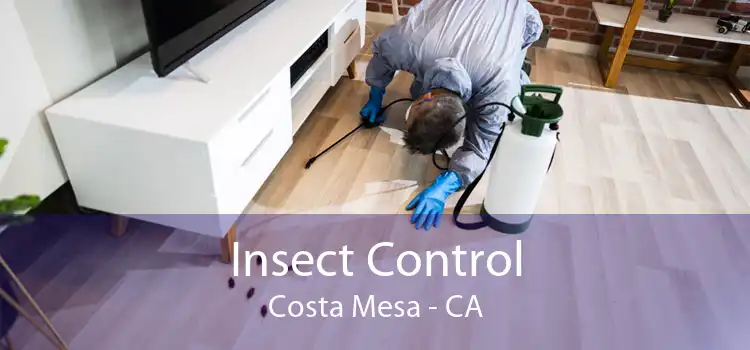 Insect Control Costa Mesa - CA