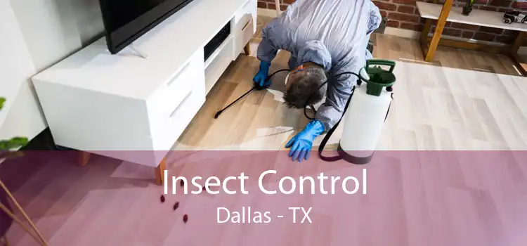 Insect Control Dallas - TX