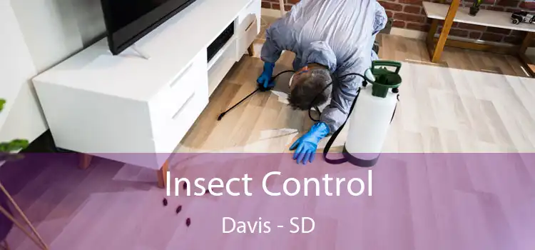  Insect Control Davis - SD