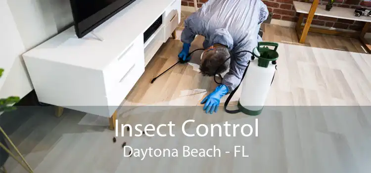 Insect Control Daytona Beach - FL