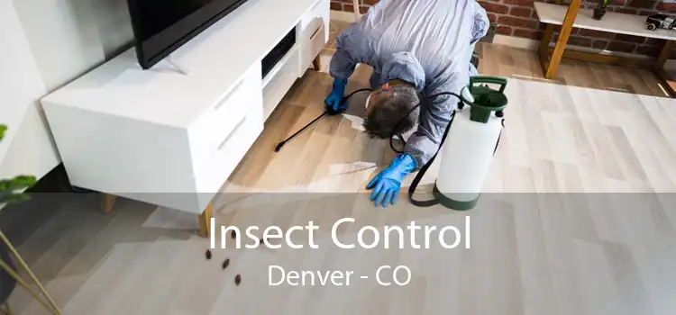Insect Control Denver - CO